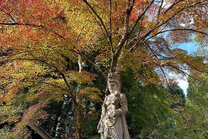 Kyoto Satoyama Cycling with Lunch and English guide — photo 13