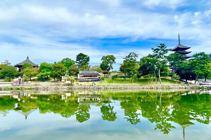 Nara Private Custom Walking Tour — photo 10