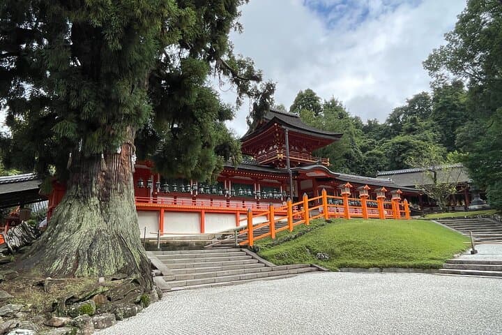 Nara Private Custom Walking Tour — photo 14