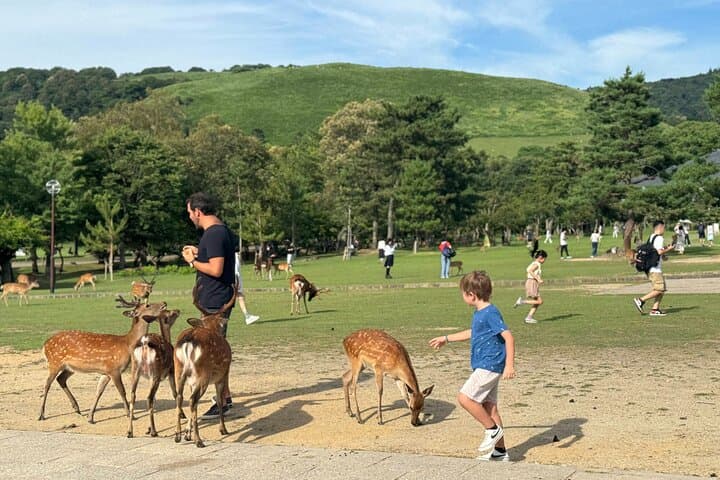 Nara Private Custom Walking Tour — photo 16
