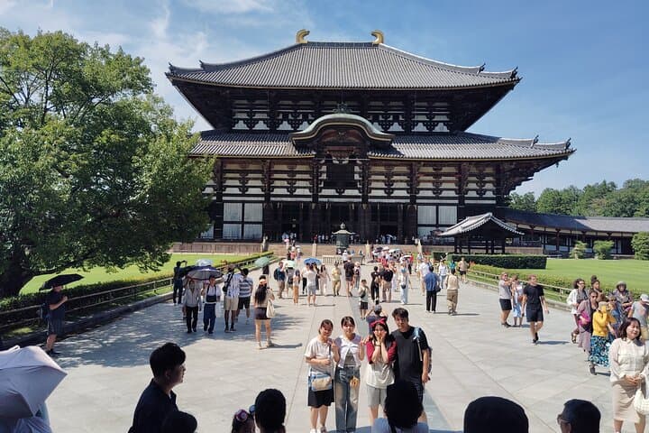 Nara Private Custom Walking Tour — photo 18