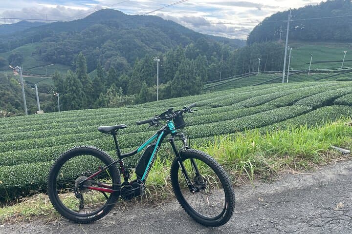 Kyoto E-Bike Rent (Powerful & Long model) — photo 2