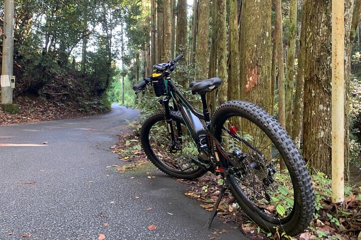 Kyoto E-Bike Rent (Powerful & Long model) — photo 6