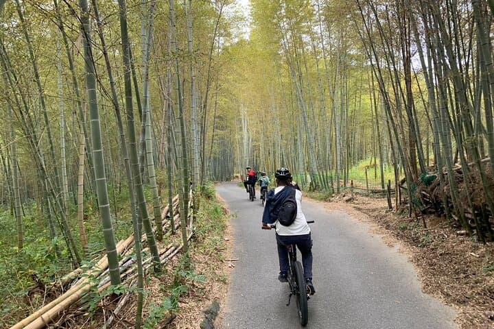 Kyoto Higashiyama E-Bike Tour *Private, Pick up from/to Hotel — photo 20