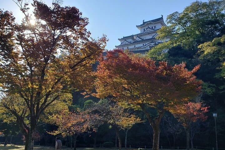 2.5 Hour Private History and Culture Tour in Himeji Castle — photo 6