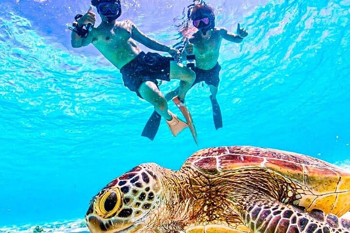 Okinawa Miyako Sea turtle Snorkeling Free Pick up and Drop off — photo 5