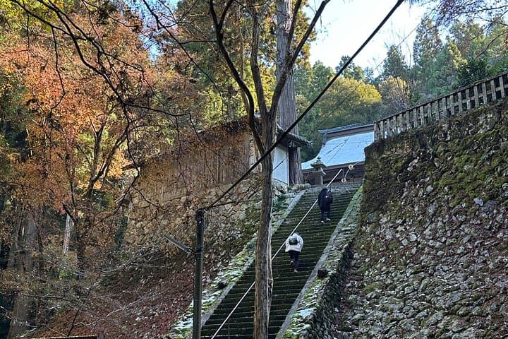 Kyoto Satoyama Cycling with Lunch and English guide — photo 18