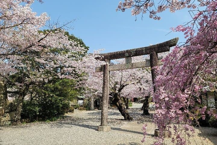 2.5 Hour Private History and Culture Tour in Himeji Castle — photo 8