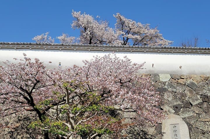 2.5 Hour Private History and Culture Tour in Himeji Castle — photo 9
