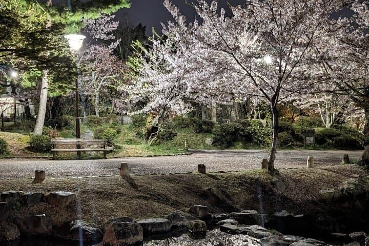 Kyoto’s Exclusive Private Gourmet Night with Local — photo 12