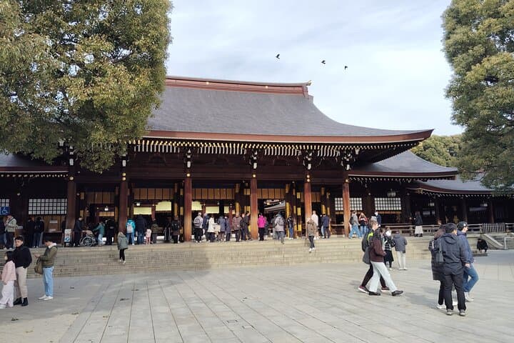Tokyo: Meiji Jingu Shrine & Inner Garden Private Tour (2h) — photo 13