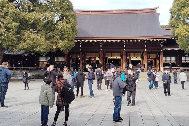 Tokyo: Meiji Jingu Shrine & Inner Garden Private Tour (2h) — photo 14