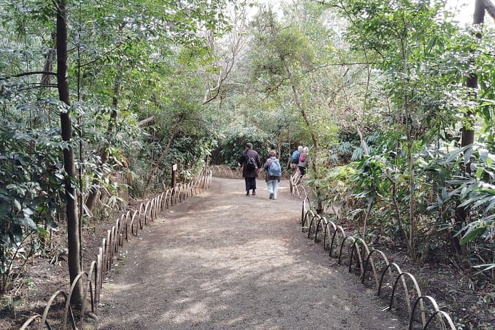 Tokyo: Meiji Jingu Shrine & Inner Garden Private Tour (2h) — photo 10