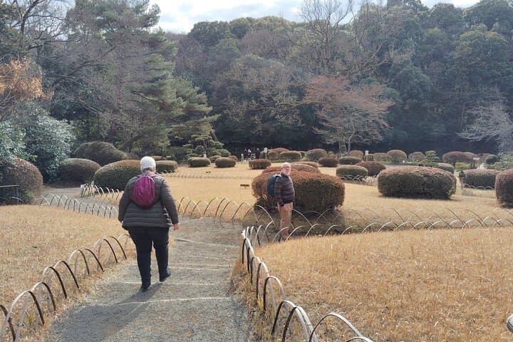 Tokyo: Meiji Jingu Shrine & Inner Garden Private Tour (2h) — photo 15