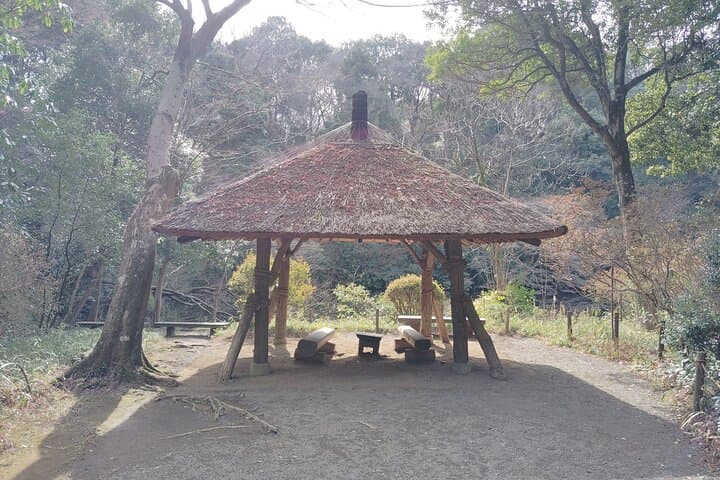 Tokyo: Meiji Jingu Shrine & Inner Garden Private Tour (2h) — photo 17