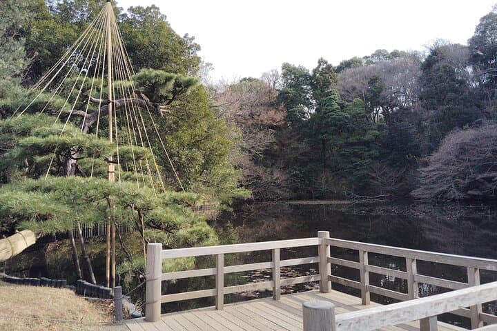Tokyo: Meiji Jingu Shrine & Inner Garden Private Tour (2h) — photo 5