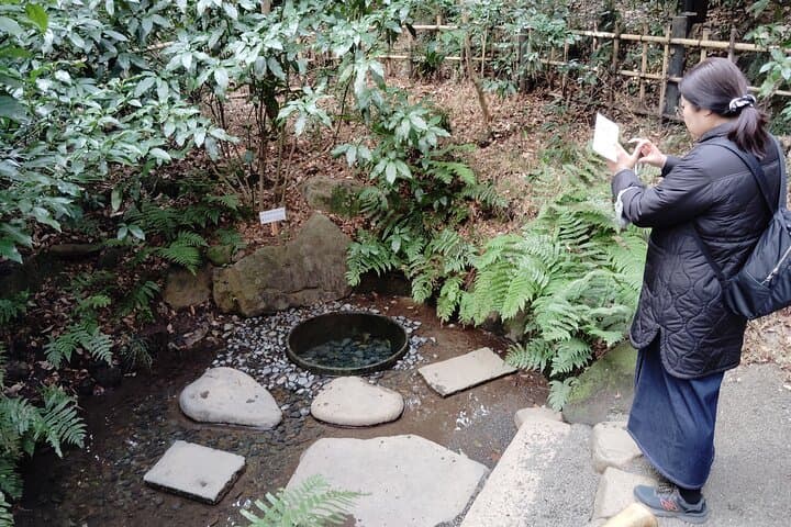 Tokyo: Meiji Jingu Shrine & Inner Garden Private Tour (2h) — photo 8