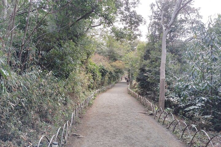 Tokyo: Meiji Jingu Shrine & Inner Garden Private Tour (2h) — photo 18