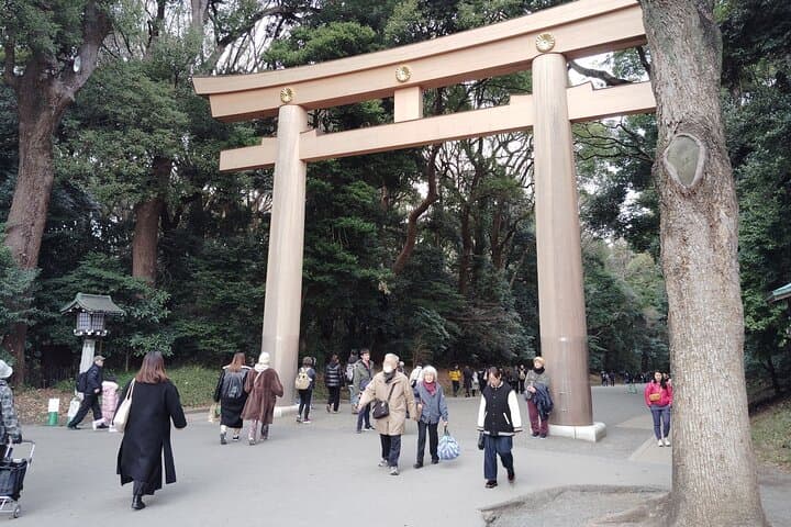 Tokyo: Meiji Jingu Shrine & Inner Garden Private Tour (2h) — photo 20