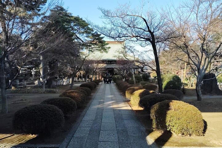 Gotokuji Temple Walking Tour with Numerous Cat Statues — photo 8