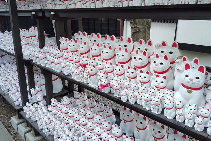 Gotokuji Temple Walking Tour with Numerous Cat Statues — photo 11