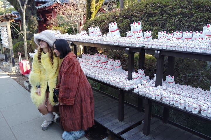 Gotokuji Temple Walking Tour with Numerous Cat Statues — photo 5