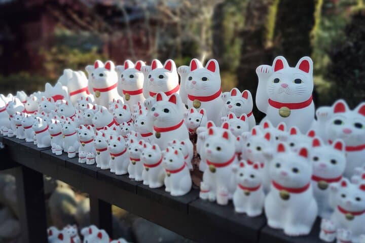 Gotokuji Temple Walking Tour with Numerous Cat Statues — photo 7