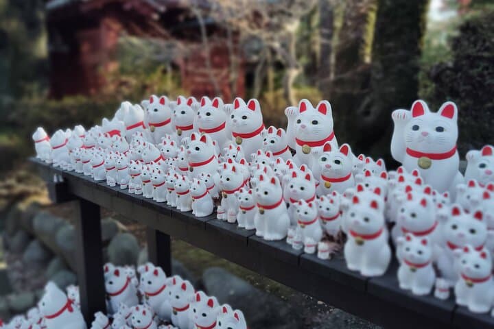 Gotokuji Temple Walking Tour with Numerous Cat Statues — photo 13