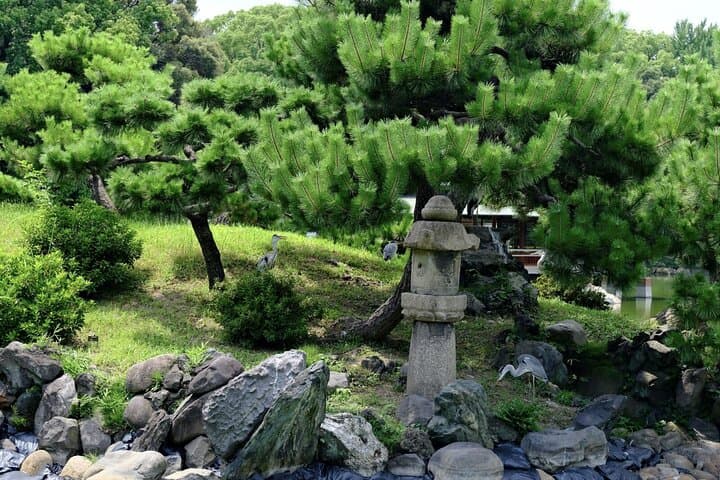 Tokyo Tour Imperial Palace, Sake, Robots, Gardens and Edo Museum — photo 11