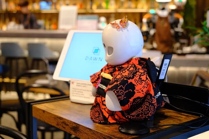 Tokyo Tour Imperial Palace, Sake, Robots, Gardens and Edo Museum — photo 9