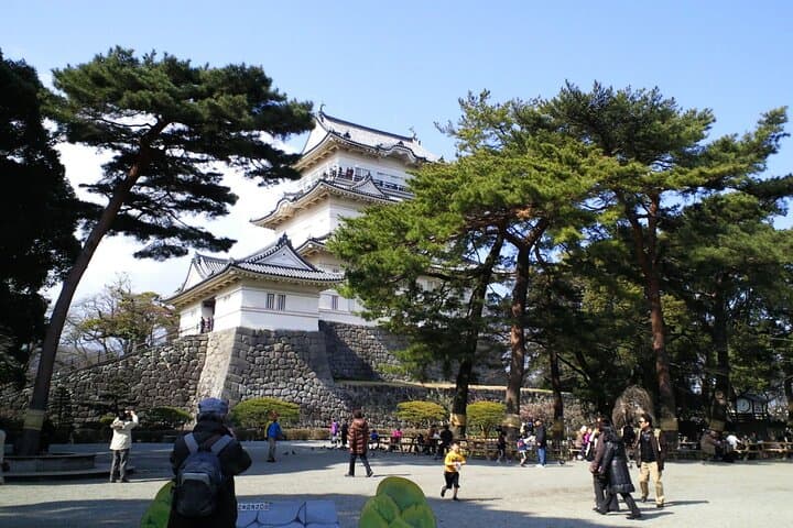 Explore Odawara Castle Samurai Seaside and Traditional Crafts — photo 7