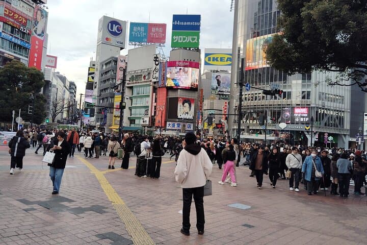 Tokyo: Shinjuku & Shibuya Walking Tour – City Highlights — photo 15