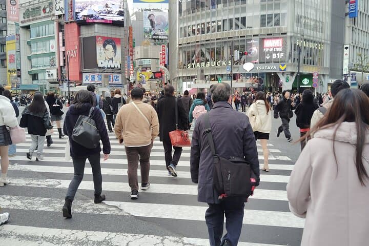 Tokyo: Shinjuku & Shibuya Walking Tour – City Highlights — photo 16