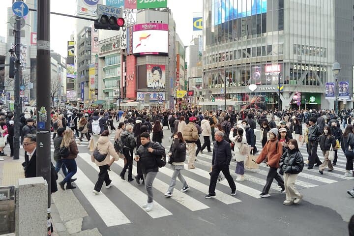Tokyo: Shinjuku & Shibuya Walking Tour – City Highlights — photo 5