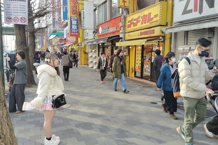 Tokyo: Akihabara Otaku Tour - 1.5h Guided Shopping — photo 4