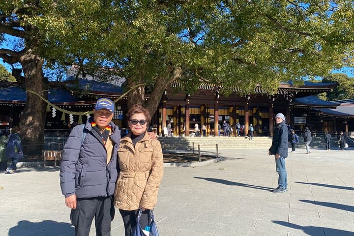 Tokyo Best West Part Tour by public transportation — photo 3
