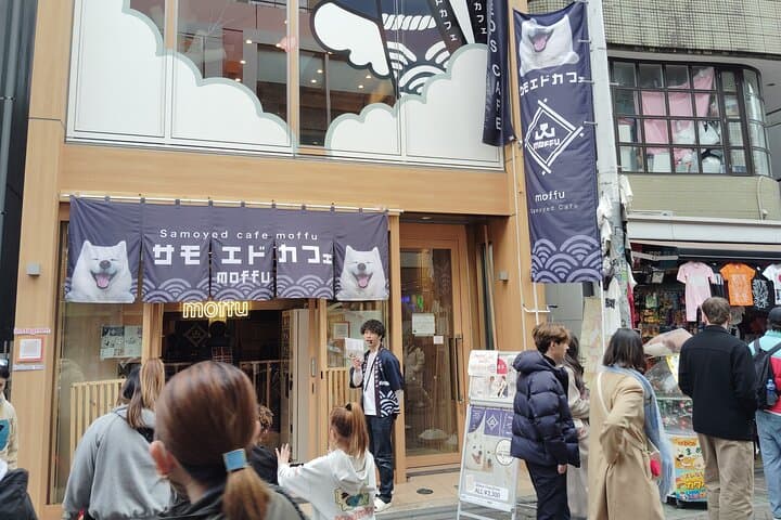 Tokyo Experience kawaii in Harajuku City Walking Tour 1 Hour — photo 13