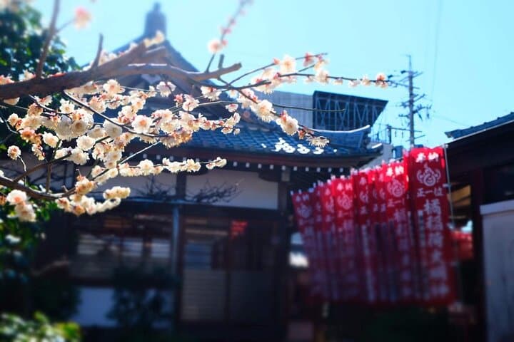 Buddhas at a Temple and Tea Ceremony Experience — photo 3