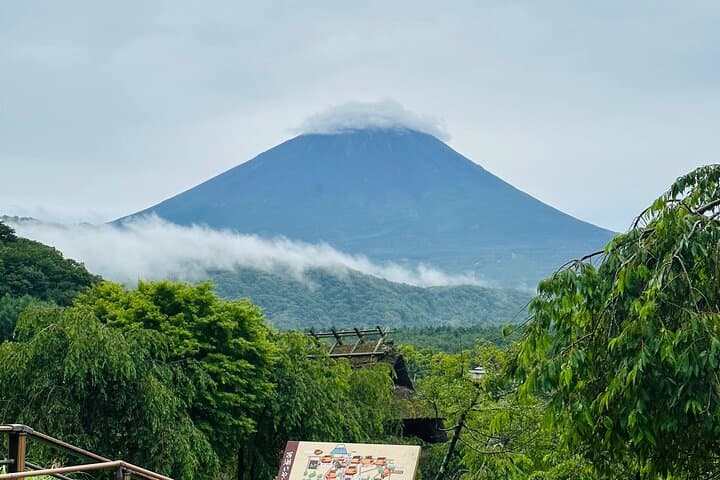 VIP Mt. Fuji and Hakone Customized Private One Day Tour. — photo 3