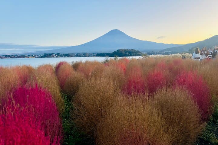 VIP Mt. Fuji and Hakone Customized Private One Day Tour. — photo 6
