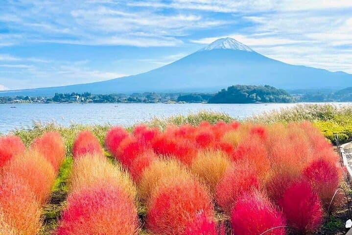 VIP Mt. Fuji and Hakone Customized Private One Day Tour. — photo 10