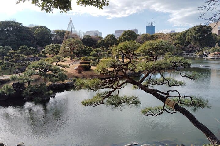 Tokyo Kiyosumi Garden Tour Stonework Pond and Sky Tree Views — photo 9