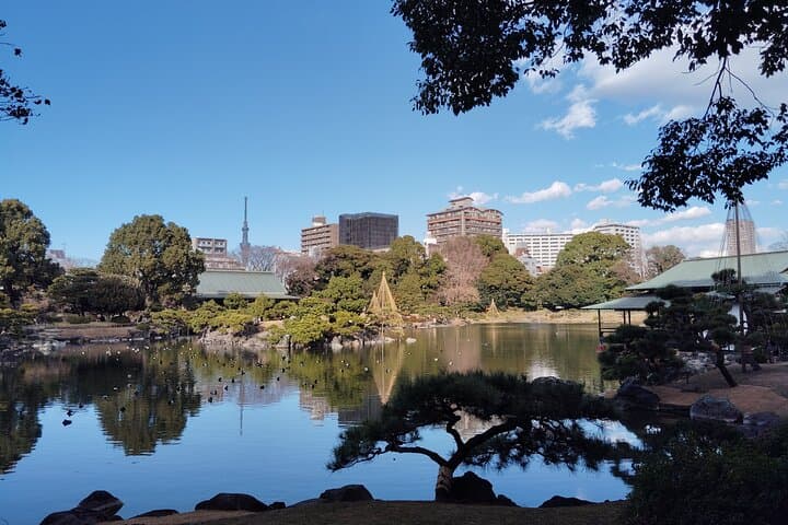 Tokyo Kiyosumi Garden Tour Stonework Pond and Sky Tree Views — photo 13