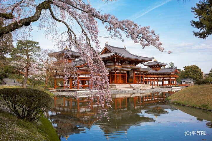 Matcha Grinding Experience and Walking Tour in Uji Kyoto — photo 2