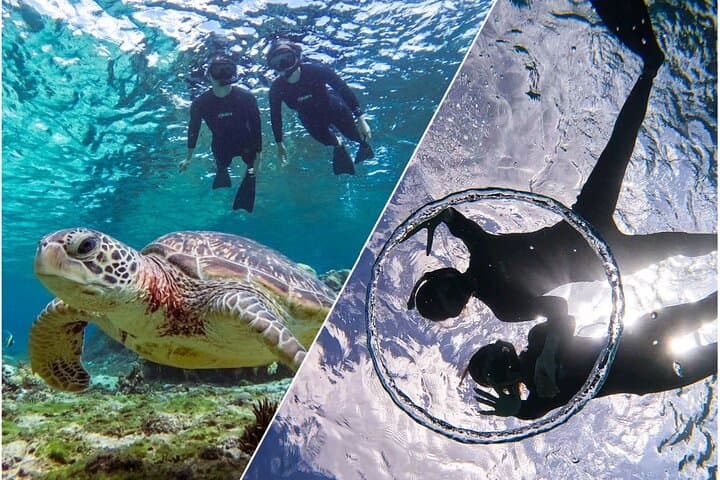 Okinawa Miyako Sea turtle Snorkeling Free Pick up and Drop off — photo 7