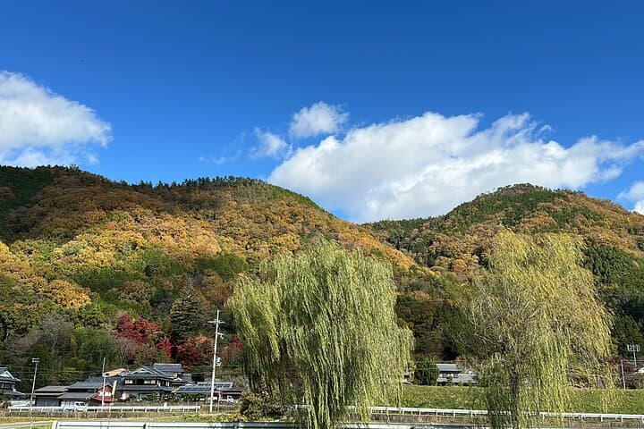 Kyoto Satoyama Cycling with Lunch and English guide — photo 5