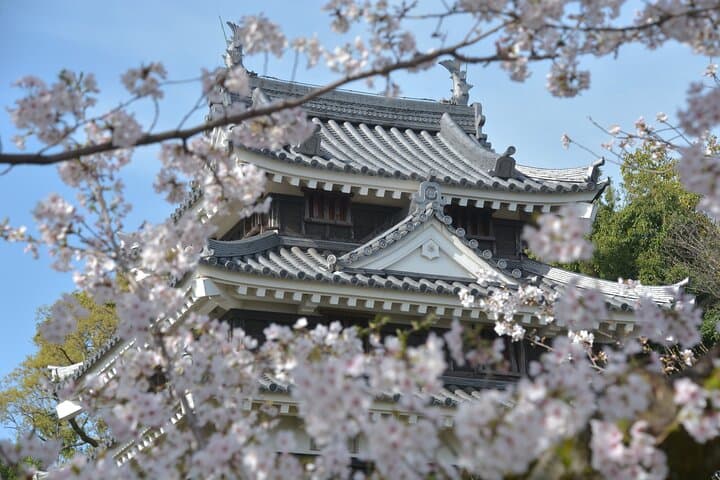 1-Day Tour from Nagoya: Wagashi Workshop & Matcha Tea Field Tour — photo 3