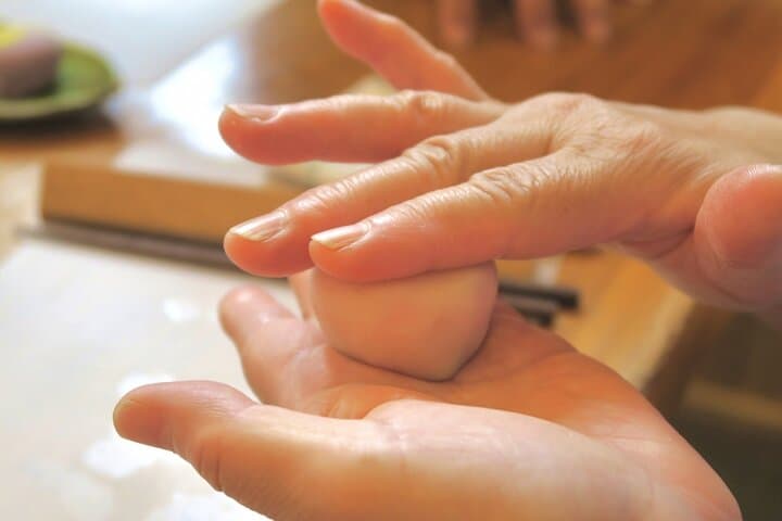 1-Day Tour from Nagoya: Wagashi Workshop & Matcha Tea Field Tour — photo 4