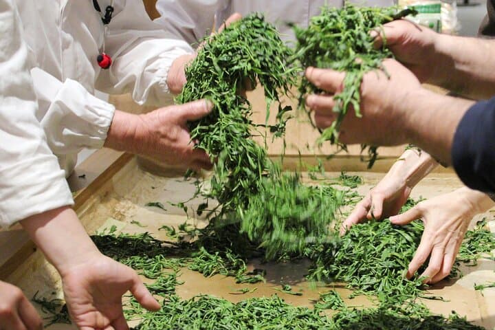 1-Day Tour from Nagoya: Wagashi Workshop & Matcha Tea Field Tour — photo 8