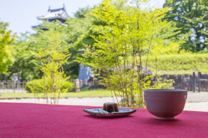 1-Day Tour from Nagoya: Wagashi Workshop & Matcha Tea Field Tour — photo 9